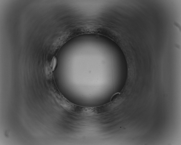 X0000102040624200807181514