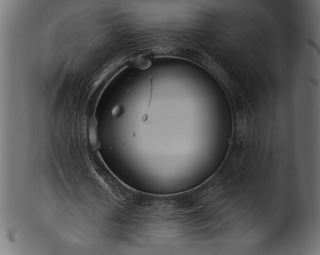 X0000102040626200807181513