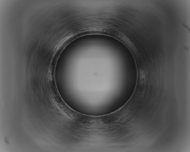 X0000102040628200807181513