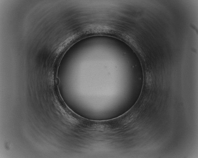 X0000102040629200807181513