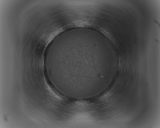 X0000102040630200807181513