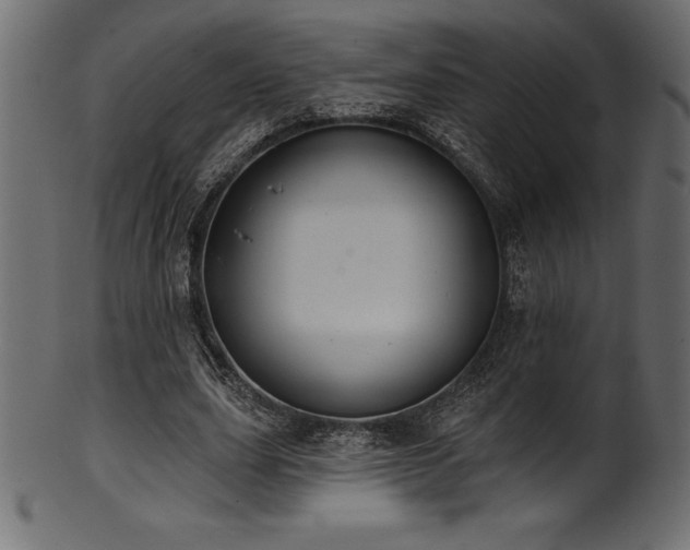 X0000102040631200807181513