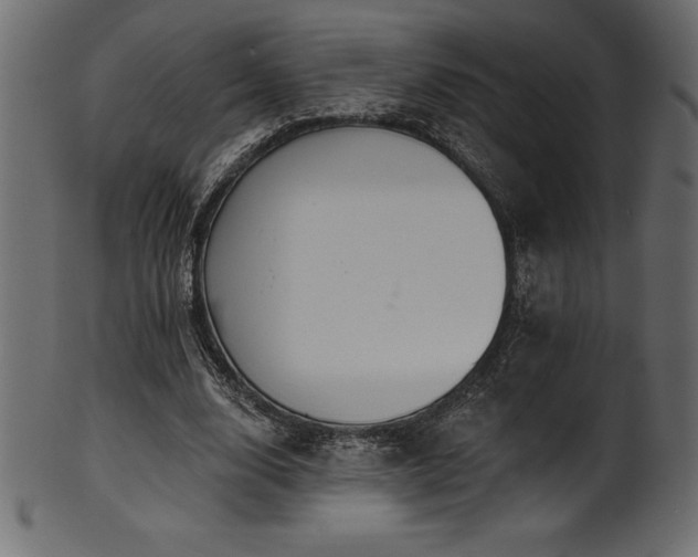 X0000102040632200807181513