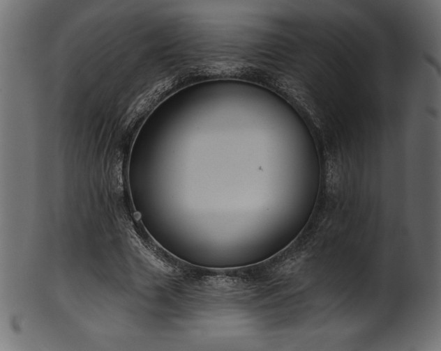 X0000102040633200807181513