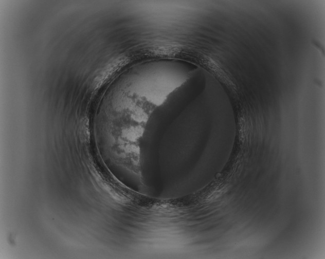 X0000102040634200807181513