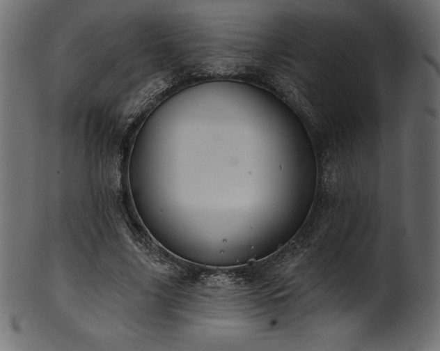 X0000102040635200807181513