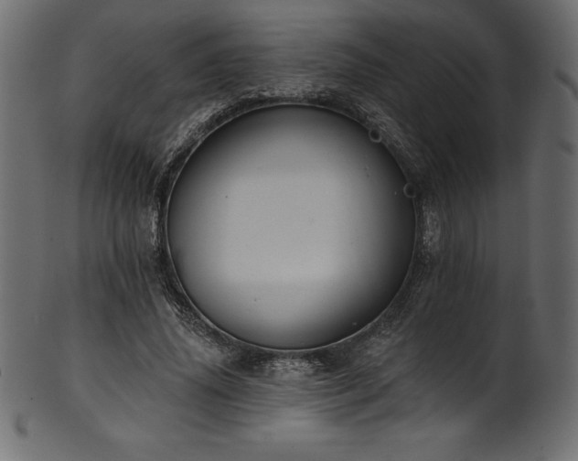 X0000102040636200807181513