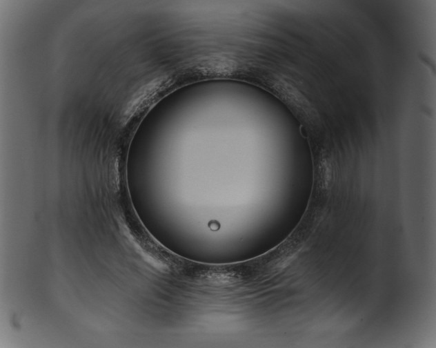 X0000102040638200807181513