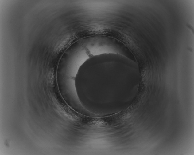 X0000102040642200807181513