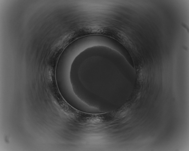 X0000102040643200807181513