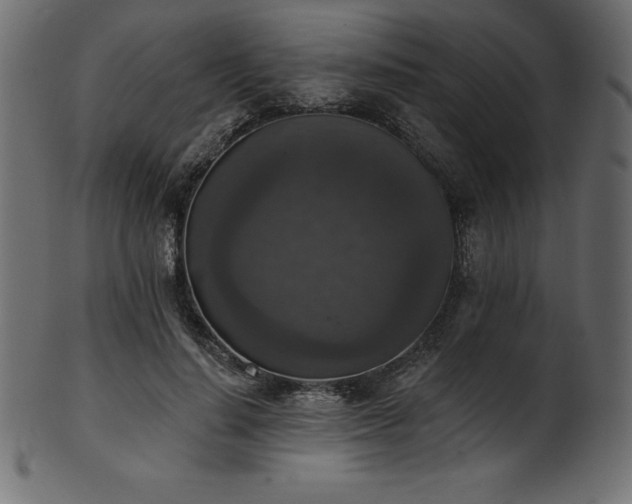 X0000102040644200807181513