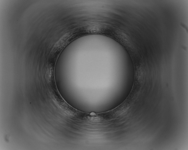 X0000102040645200807181513