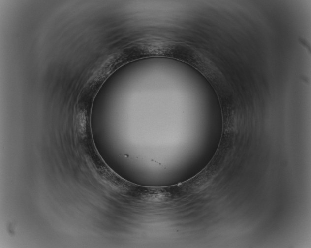 X0000102040646200807181513