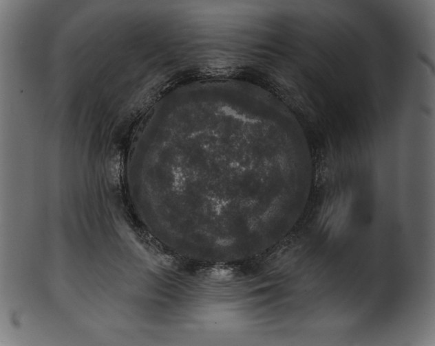 X0000102040647200807181513