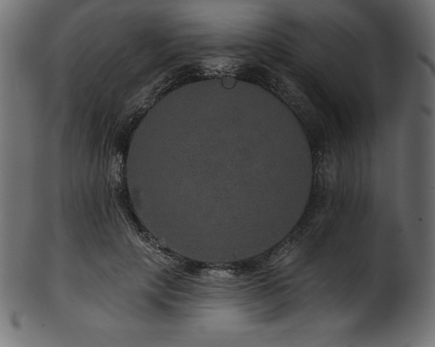 X0000102040649200807181513