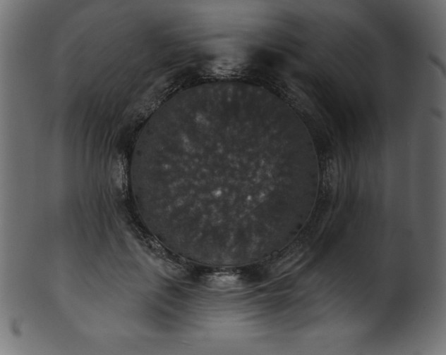 X0000102040651200807181513