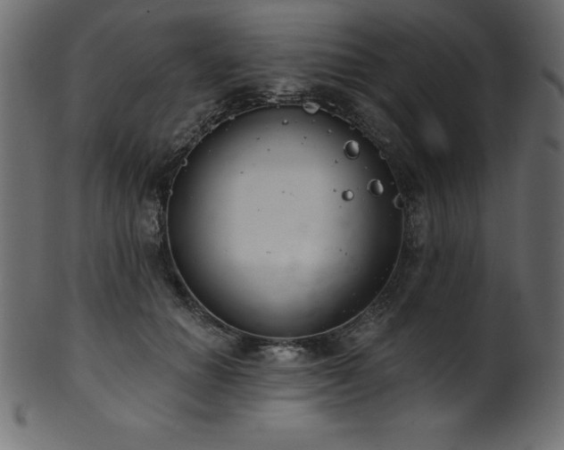 X0000102040654200807181513