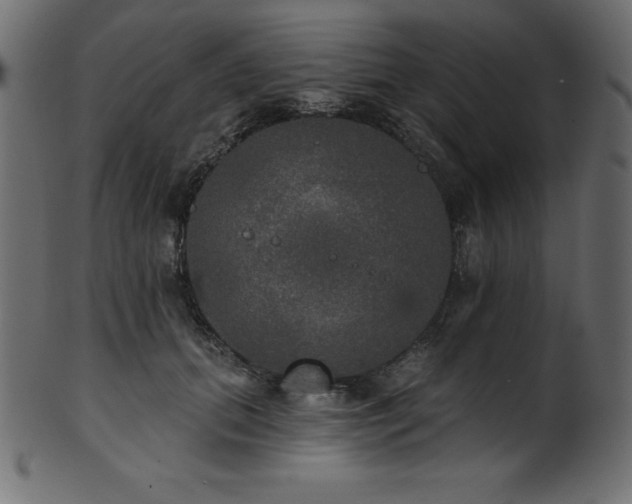 X0000102040655200807181513