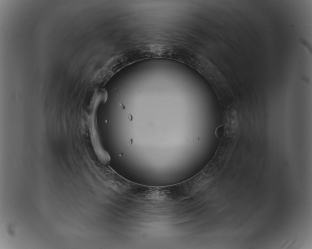 X0000102040656200807181513