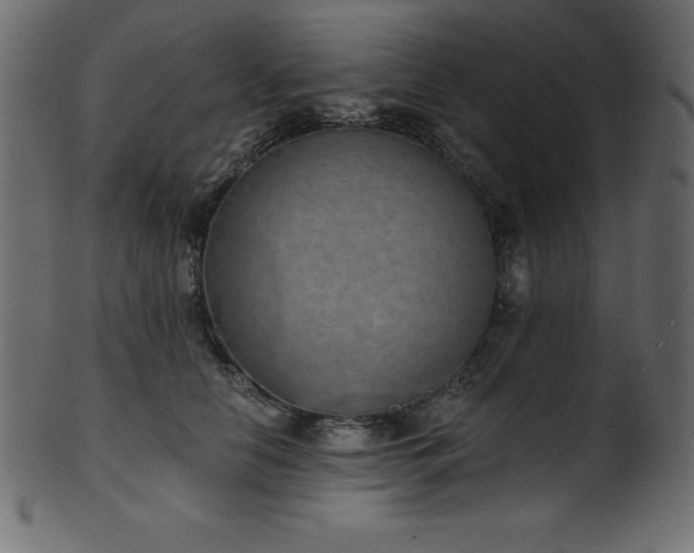 X0000102040658200807181513