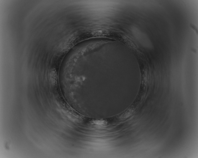 X0000102040659200807181513