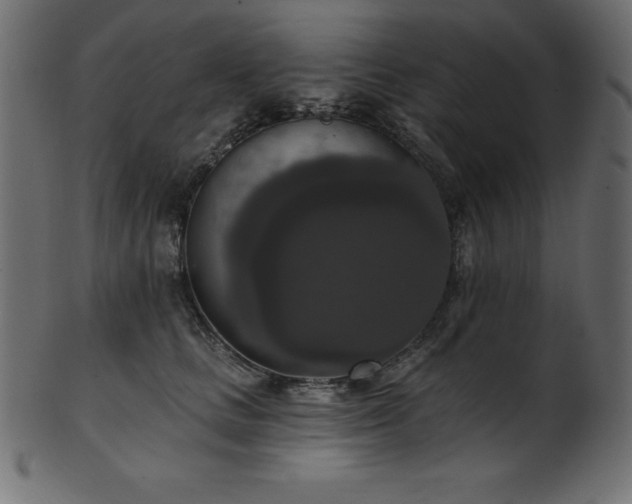 X0000102040661200807181513