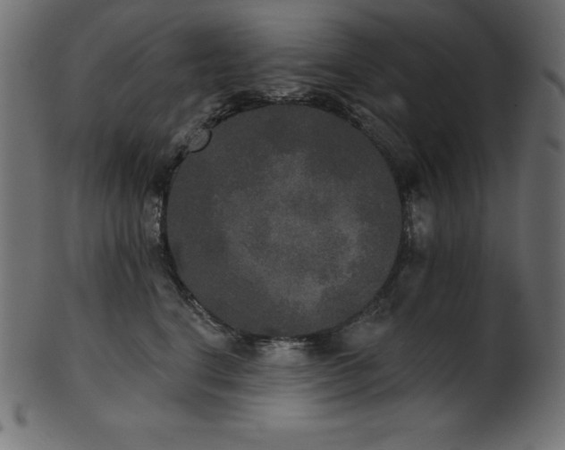 X0000102040664200807181513