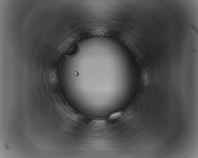 X0000102040665200807181513