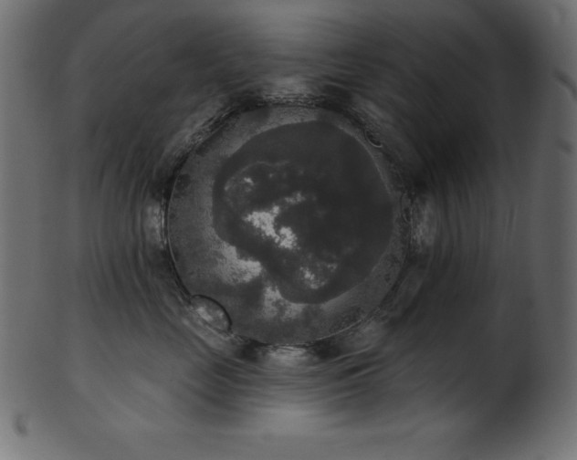 X0000102040669200807181513