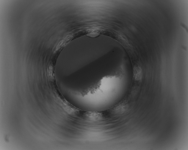 X0000102040670200807181513