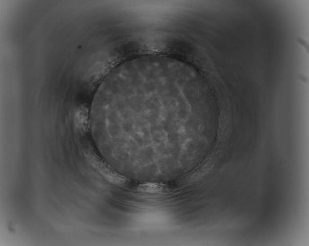 X0000102040672200807181514