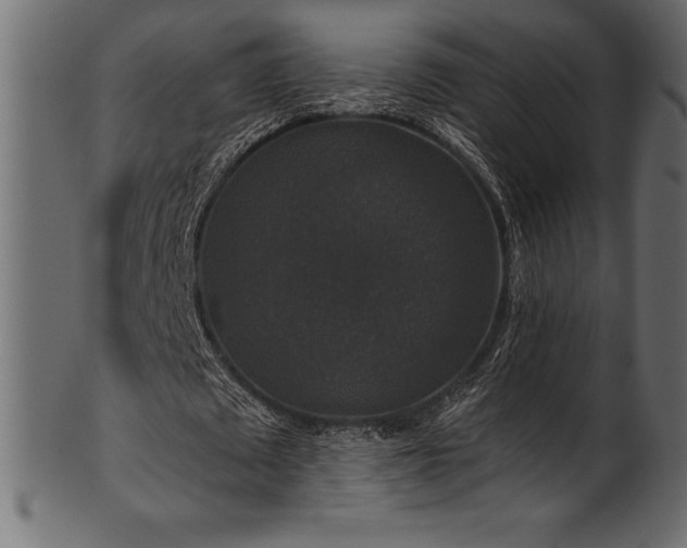 X0000102040673200807181513