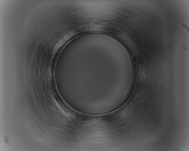 X0000102040674200807181513