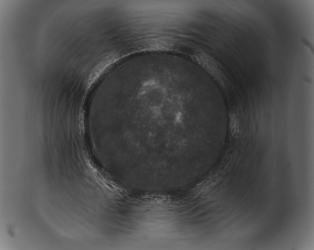 X0000102040676200807181513