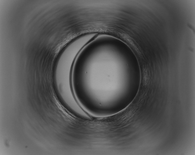 X0000102040677200807181513