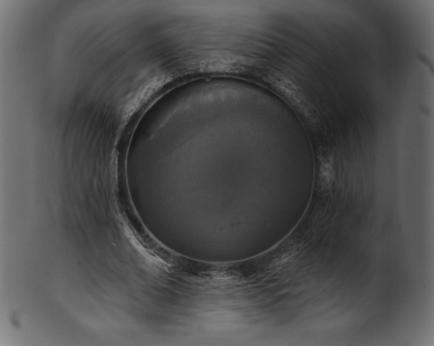 X0000102040678200807181513