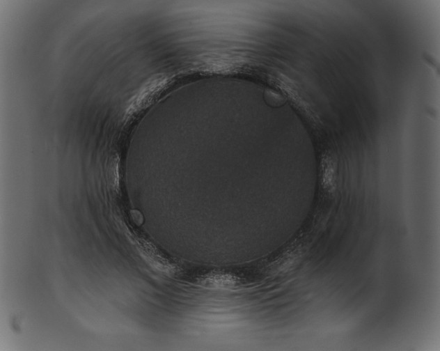 X0000102040685200807181513