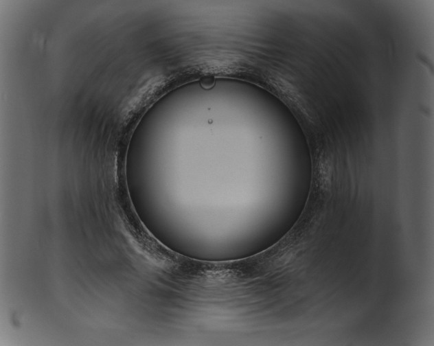 X0000102040686200807181513