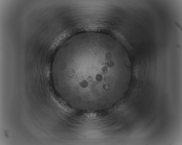 X0000102040687200807181513