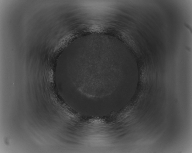 X0000102040689200807181513