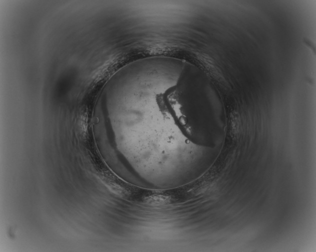 X0000102040691200807181513