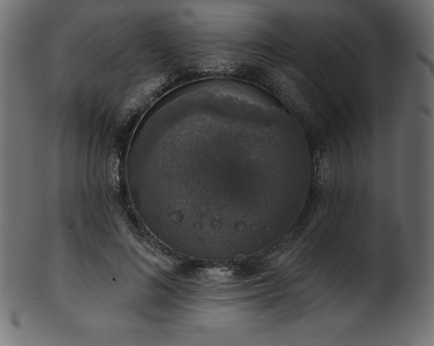 X0000102040692200807181513