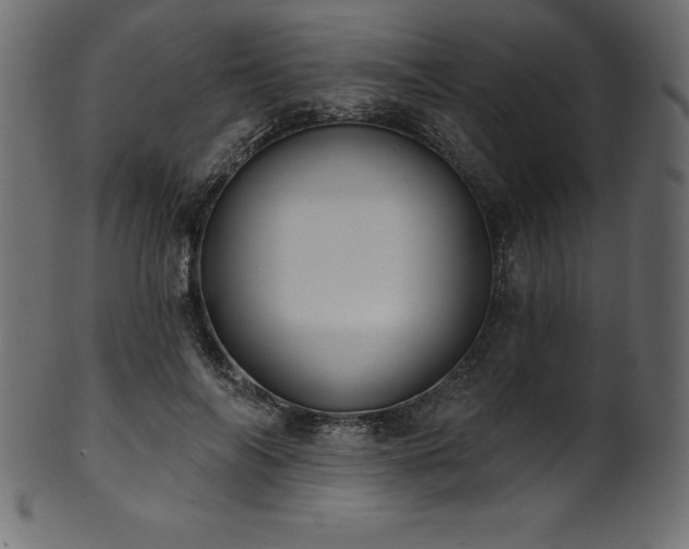 X0000102040694200807181513