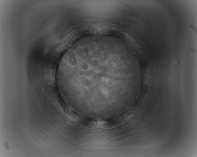 X0000102040695200807181513