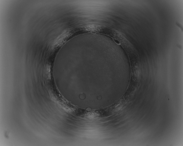 X0000102040696200807181513