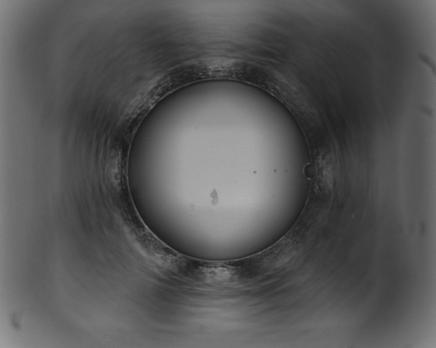 X0000102040698200807181512