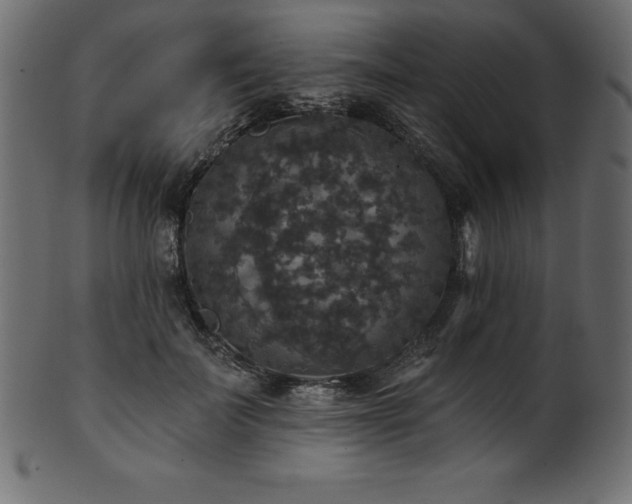 X0000102040699200807181512