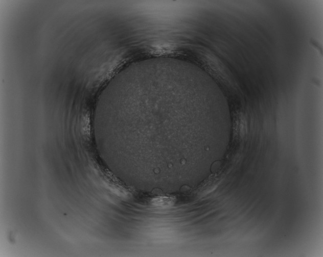 X0000102040700200807181512