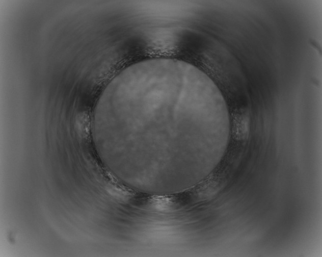 X0000102040701200807181512