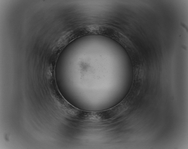 X0000102040702200807181512